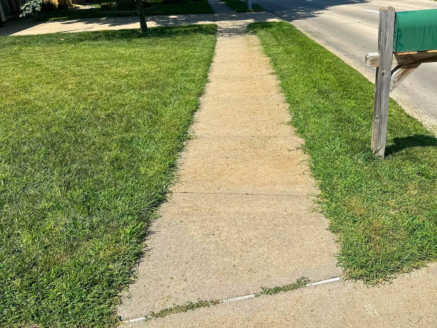 Image of a sidewalk with the before the grass is cut and edged on both sides.