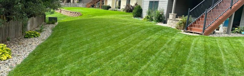 Backyard of a property with freshly cut grass by a lawn care company.