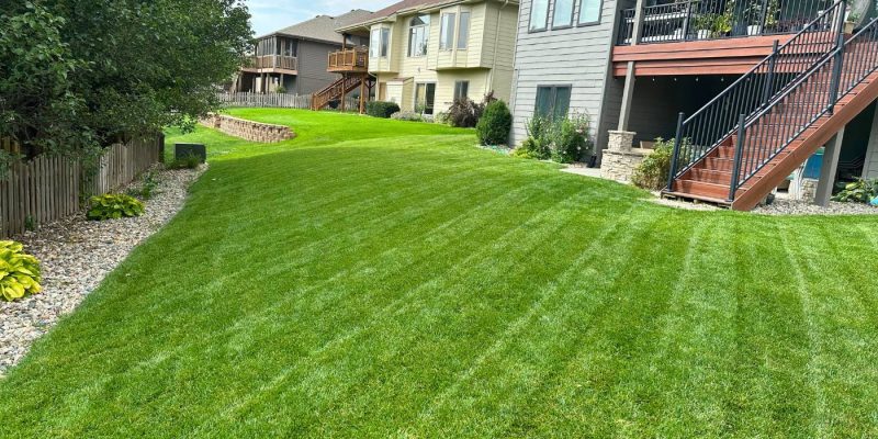 Backyard of a property with freshly cut grass by a lawn care company.